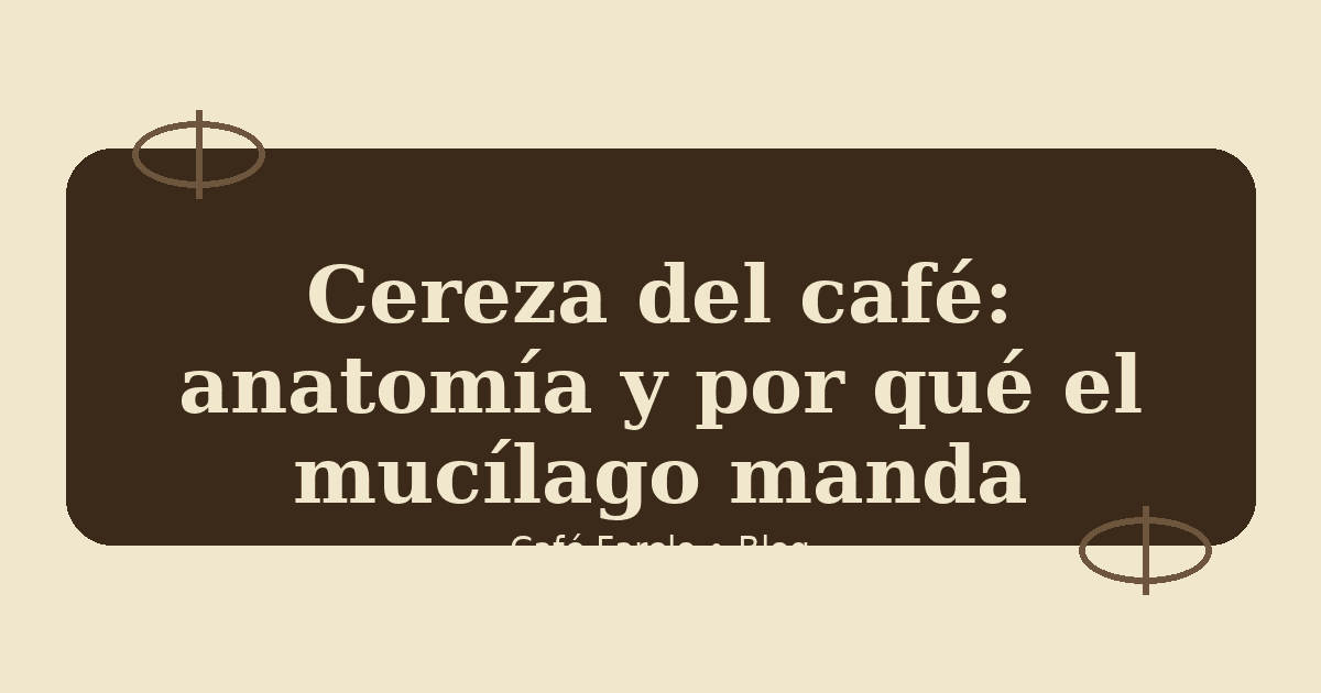 Cereza del café: anatomía y por qué el mucílago manda